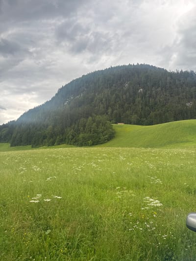 The image depicts a cloudy day in a rural, mountainous landscape, possibly near Hygna, Austria. In the foreground, a lush green meadow is dotted with numerous small white wildflowers. The middle ground features rolling green hills, with one particularly steep incline covered in dense coniferous trees that extend to the top of the frame. A small, reddish-brown structure with a light-colored roof is visible on the slope of one of the hills. The sky is overcast with dramatic grey clouds. The perspective suggests the photo was taken from a low angle, possibly from a vehicle, as a portion of a silver car's exterior is visible in the lower right corner. No people or animals are present in the scene.