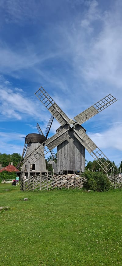 In the city of Angla, Estonia, two wooden windmills stand prominently in a grassy field under a bright blue sky with scattered clouds. The larger windmill in the foreground has four sails, two of which are fully extended and made of a grid-like wooden structure. The other windmill, slightly behind and to the left, is rounder in shape and also has sails. A rustic wooden fence made of crisscrossed logs encloses the windmills, and behind the fence, green bushes and trees are visible. To the far left, a red-roofed building peeks through the trees. In the foreground, the green grass is dotted with small white and yellow wildflowers. Two people are visible near the fence: one pushing a stroller, and another standing. The scene is brightly lit, suggesting it is daytime.