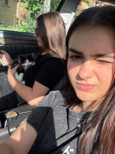 A selfie taken inside a vehicle. A young woman with dark brown hair and fair skin is in the foreground, partially illuminated by sunlight. She is wearing a gray shirt and a silver necklace. Behind her, a second person with brown hair is holding a black and white kitten. The environment visible through the window includes a chain-link fence and foliage, suggesting an outdoor setting. The location cannot be confirmed to be Rila, Bulgaria based on the visual information provided.