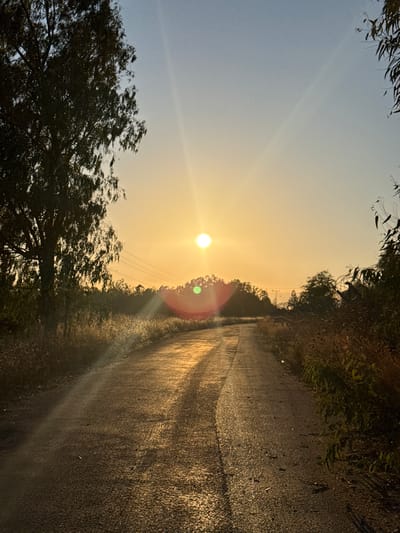 The image shows a dirt road leading towards a bright sun. The road is lined with dry grass and trees on either side. Power lines are visible in the background. The sun is setting, casting a warm glow on the scene. The overall impression is one of peace and tranquility. The location is the city of Katzrin, Israel.