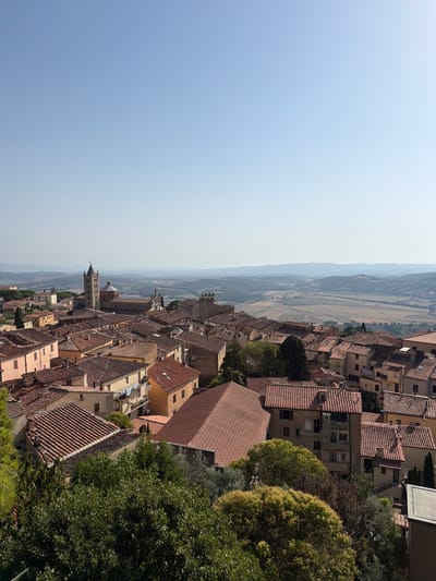 The image is an aerial view of Massa Marittima, Italy, captured on a clear, sunny day. The foreground is dominated by lush green trees and foliage. Beyond the trees, a dense collection of terracotta-tiled roofs stretches across the cityscape. In the middle ground, a prominent church with a tall, slender bell tower stands out amongst the other buildings. The architecture suggests a historic European town. In the background, rolling hills and cultivated fields fade into a hazy horizon under a pale blue sky. The scene is devoid of any visible people or specific actions.