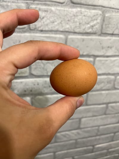 A close-up shot shows a person's hand holding a single brown egg against a white brick-patterned background. The egg is the central focus, positioned between the thumb and forefinger of the right hand, with another finger visible on the left side of the frame. The hand appears to be gently cupping the egg. The lighting suggests an indoor setting, possibly with overhead illumination, as there are no strong shadows or indications of natural daylight. The background, a repeating pattern of off-white bricks, is slightly blurred, emphasizing the egg and hand. No text is visible in the image. The overall impression is simple and direct, highlighting the texture and form of the egg and the human touch interacting with it.