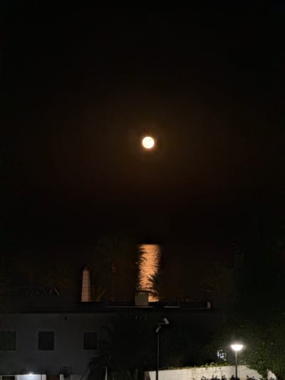 The image depicts a night scene in Aguadulce, Spain, featuring a full moon illuminating the sky above a body of water and buildings. The moon, a bright orb with a yellowish hue, is positioned centrally in the upper portion of the frame. Its reflection shimmers on the dark water, creating a golden pathway.
In the foreground, the dark silhouettes of buildings and palm trees are visible. The buildings appear to be multi-story structures, with some windows faintly lit. A streetlamp with a curved shade illuminates the lower right section of the image. A security camera is mounted on a pole in the lower left quadrant. The overall atmosphere is tranquil and serene, characteristic of a calm night in a coastal town.