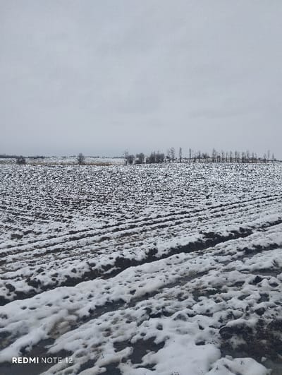 A winter landscape features a field marked with rows, partially covered in melting snow, revealing dark soil underneath. A line of bare trees stands on the horizon against a gray, overcast sky. The scene conveys a sense of cold, bleak, and rural stillness. The bottom corner contains a text label, likely a watermark.