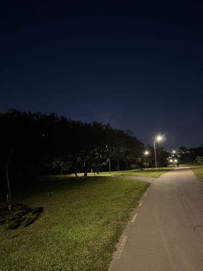 A low-angle, nighttime shot depicts a path illuminated by streetlights in Brasília, Brazil. The path, paved with gray asphalt, runs along the top edge, curving slightly to the right as it recedes. The right side of the path is bordered by a patch of green grass. Trees line the left side of the path, with their silhouettes stark against the dark blue sky. Streetlights are visible along the path, casting a warm glow. The sky is predominantly dark blue, suggesting the photograph was taken late at night. The image is rotated 90 degrees counter-clockwise.