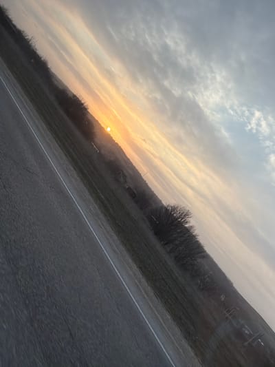 The image depicts an outdoor, diagonally-oriented landscape scene in Gostagaevskaya, Russia, captured during either sunrise or sunset. A distinct, circular orange-yellow sun is positioned near the left-center horizon. The sky transitions from bright orange and yellow hues around the sun to pale blue-grey in the upper right, featuring streaky cloud formations. In the foreground, a dark asphalt road with a solid white line runs diagonally from the lower left to the mid-right. To the right of the road is a field of low-lying, brownish-green vegetation. The background features a sparse line of bare deciduous trees and several faint, dark, low-rise structures, consistent with agricultural or rural buildings. No individuals or specific activities are observable.