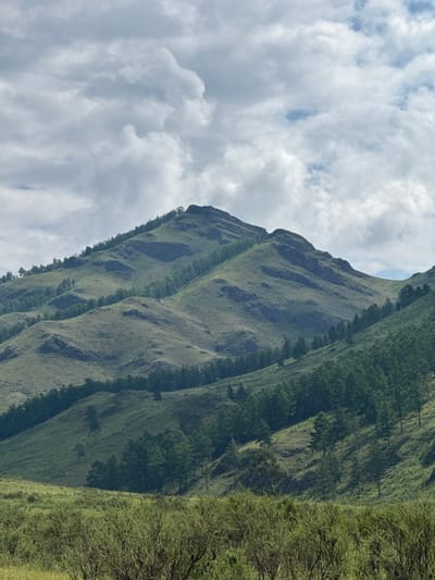 The image depicts a landscape in Kazanovka, Russia, characterized by rolling green hills and a cloudy sky. The foreground is filled with dense, low-lying brush and vegetation. The middle ground is dominated by the slopes of a large hill, covered in grass and sparse trees, with distinct rocky outcrops and terraced patterns on the hillside. A dense line of coniferous trees runs diagonally across the slope, creating a stark contrast in texture and color. The background features a prominent mountain peak, also covered in grass and trees, with its summit partially obscured by dramatic, billowy clouds. The overall impression is one of natural, untamed wilderness. There are no people or visible structures in the image.
