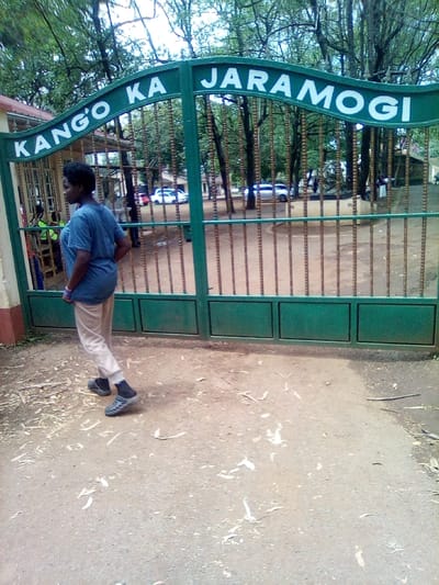 The image depicts an outdoor scene at the entrance to a compound in West Sakwa ward, Kenya. A closed green metal gate dominates the center, featuring vertical bars and solid lower panels. The gate's top beam displays the white capitalized text "KANGO' KA JARAMOGI". In the foreground, a person with short dark hair, wearing a blue t-shirt, light-colored long pants, black socks, and grey sandals, walks from left to right, facing partially away from the camera. The ground is unpaved earth or gravel with scattered light-colored debris. To the far left, a section of a reddish-brown wall is visible. Through the gate, beyond the entrance, multiple trees with green foliage are visible. Several individuals are discernible in the background, and at least three vehicles—two white cars and one silver SUV—are present within the compound. A building with a dark roof and a large, light-colored sculptural object are also visible further in the distance. The scene is illuminated by natural daylight.