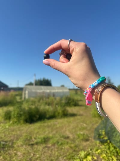 In Turovo, Russia, on a clear day, a person's hand is shown holding a single dark berry between their thumb and index finger, with the berry positioned against a bright blue sky. The hand, adorned with a silver ring on the index finger and bracelets on the wrist, is in focus. The background is a blurred landscape of green fields, a greenhouse, and some structures, suggesting a rural or semi-rural setting.