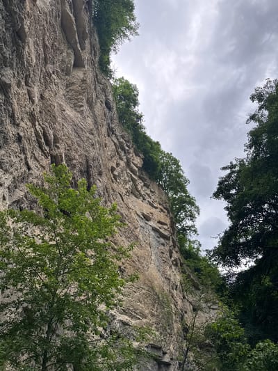The image depicts a towering cliff face composed of rough, light-colored rock, textured with numerous fissures and ledges. Lush green foliage, including trees with dense canopies and individual branches laden with leaves, sprouts from the top and sides of the cliff. The lower portion of the image shows more trees and branches in the foreground, obscuring parts of the rock face. The sky above is overcast with gray clouds, suggesting a diffused light. The overall scene is natural and appears to be a geological formation in a forested area, likely within the vicinity of Nizhniy Chegem, Russia, a region known for its dramatic gorges and rock formations. There are no people or animals visible in the image, and no discernible human activity is taking place.