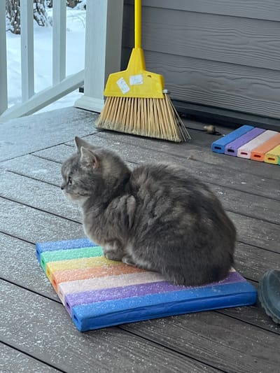 The scene depicts an outdoor porch or deck in Finskiy Briz, Russia, under winter conditions. The dark, planked deck surface is speckled with light snow. A medium-sized, grey tabby-patterned cat with fluffy fur is seated on a rectangular, foam-like mat featuring horizontal stripes in shades of blue, purple, pink, orange, yellow, and green. The cat is facing left in the frame, with its gaze directed slightly upwards. In the background, a yellow-handled broom with light-colored bristles and two white rectangular stickers leans against a grey horizontally-paneled building wall. To the right of the broom, several additional colorful rectangular blocks are present on the deck. White wooden railings, partially snow-covered, are visible in the far left background. The toe of a dark-colored shoe or boot is partially visible in the bottom right corner of the frame.
