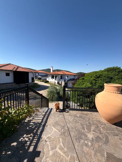 The image depicts a sunny day with a clear blue sky, overlooking a property in Banya, Bulgaria. The scene features several whitewashed buildings with orange tile roofs, typical of Mediterranean or Balkan architecture. A black metal fence runs along the property line, separating the foreground from the buildings and lush greenery. In the foreground, a stone patio leads to a set of stone steps with a black metal railing. A small, reddish-brown dog stands on the stone steps, facing away from the camera. To the right of the frame, a large, terracotta pot is prominently placed on the patio. The background reveals more of the residential area, with hills covered in vegetation in the distance. A bird is visible flying in the sky.