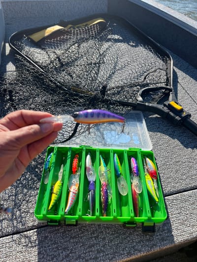 An overhead shot captures a fishing net spread on the floor of a boat. Next to the net, a person's hand holds a purple and orange fishing lure. In front of the net and lure, a green tackle box is open, revealing a collection of colorful fishing lures. The boat's interior is visible, and the water is seen in the background. The image does not provide any information about the city of Novopichugovo, Russia.