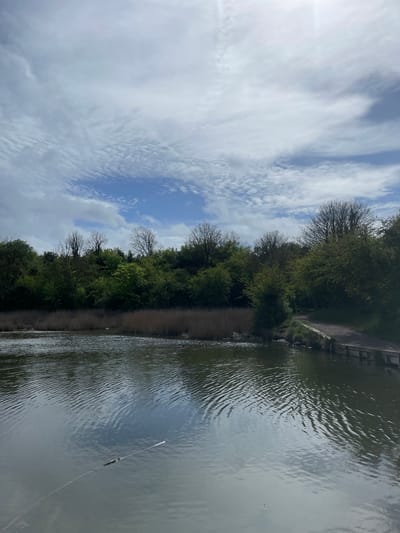 This image captures a tranquil outdoor scene along a body of water, likely a canal or river, under a bright, partly cloudy sky. The scene is oriented with the sky at the top, the water on the right and bottom, and a landmass with trees on the left.

The water, which dominates the lower right portion of the frame, is covered with gentle ripples, reflecting the sky above. A white fishing line, with a float, extends from the bottom right corner towards the center of the water, suggesting recent or ongoing fishing activity, though no individuals are visible. Further into the water, a small, white, indistinct object, possibly another float or debris, is present.

The left side of the image is characterized by a verdant, tree-lined bank or shore. The trees exhibit a mix of full green foliage and some bare, deciduous branches, indicating either early spring or a diverse selection of tree types. A narrow path or track is discernible along the bank, weaving through the vegetation. In the upper left background, a man-made structure, possibly a retaining wall or bridge abutment, can be seen on the far side of the water.

The sky, occupying the upper portion of the image, displays a varied cloudscape with patches of clear blue. Streaky, wispy clouds stretch across the sky, intermingling with more defined, broken cloud formations. A bright area in the top left corner suggests the sun's position, indicating it is daytime. The overall impression is one of peaceful natural beauty in the Portsmouth, United Kingdom area. No visible text is present in the image.
