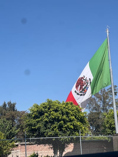 A Mexican flag waves prominently against a clear blue sky. It hangs from a metal pole and is partially obscured by dense green foliage on the right. A chain-link fence and a brick wall are visible adjacent to the foliage. The flag’s colors of green, white, and red are clearly defined, with the national emblem prominently displayed in the center. The scene is bathed in bright sunlight.