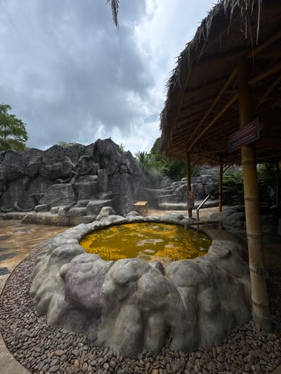 The image shows a hot spring in Ban Khlong Khian, Thailand, with cloudy water covered in yellow flower petals, encased in a rock-like structure. A bamboo structure with a thatched roof provides shade. Rocks and trees are visible in the background.