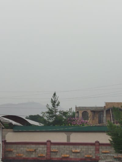 The image depicts an overcast sky over a residential area in Aravan, Kyrgyzstan. In the foreground, a brick wall with decorative yellow rectangular elements runs horizontally. Behind the wall, a lighter colored structure is visible, possibly a house or building with a flat roof. Further back, a multi-story building with arched windows and brickwork is present. Lush green foliage, including a flowering bush with purple blossoms, is interspersed with trees. In the middle ground, a tall, slender evergreen tree stands out against the hazy background. Power lines are strung across the upper portion of the scene, and in the far distance, a mist-covered mountain range is faintly visible. The overall atmosphere is subdued due to the cloudy weather.