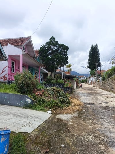 A weathered road stretches between homes with vibrant exteriors. Pink and turquoise houses stand alongside lush greenery, including a tall tree. The road, cracked and marked, leads towards a slight incline with more residences visible in the distance. Overcast skies provide a muted backdrop to the colorful scene. A motorcycle is parked along the roadside, adding a touch of everyday life to the serene environment.