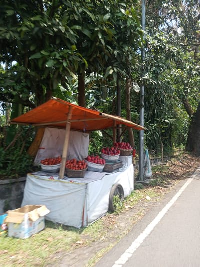 A fruit stand is located next to a road. The stand is covered with a white tarp, and has an orange awning. Several baskets of red fruit are displayed on top. A cardboard box sits to the left of the stand. Behind the stand is a mix of trees and shrubs. A street light is near the stand. The road is paved with a white stripe. The location is Nawng Hkar, Myanmar.