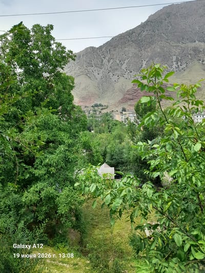 In the city of Kara-Köl, Kyrgyzstan, a distant view reveals a valley nestled between imposing, rocky mountains under a cloudy sky. The foreground is dominated by lush, green trees, with their branches and leaves obscuring a clear view of the settlement within the valley. Among the trees, a small, light-colored structure with a pitched roof is partially visible on the left, and a dark-colored vehicle is parked nearby. Further into the valley, a cluster of buildings, likely residential apartments, are scattered amidst dense greenery. The overall scene suggests a peaceful, natural environment within a populated area, with the natural landscape taking precedence over the urban elements. The date and time stamp on the image indicates it was taken on June 19, 2026, at 13:08.