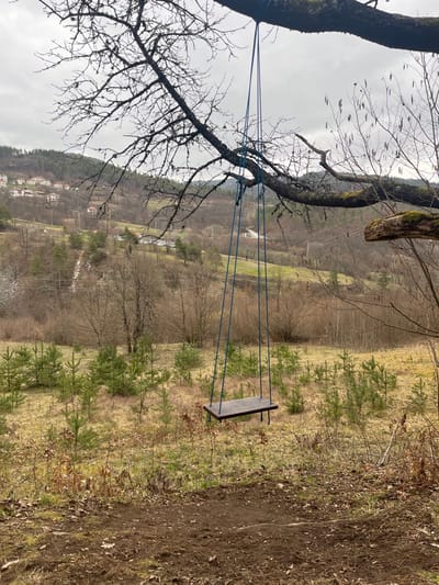 The image depicts an outdoor landscape in Ravnishta, Bulgaria, under an overcast sky. In the immediate foreground, a homemade swing is suspended from a thick, leafless branch of a large deciduous tree. The swing features a dark brown, rectangular wooden seat, approximately 60cm in length, attached by four blue ropes that converge at the branch. The ground directly beneath and around the swing consists of disturbed dark brown soil, transitioning to dry, yellowish-brown grass interspersed with numerous small evergreen saplings and dormant shrubs.

The midground reveals a valley sloping downward, covered predominantly with bare deciduous trees and sparse, dry vegetation. A narrow track or road is faintly visible winding through the valley. On the distant opposing hillside, a settlement identified as a village (Ravnishta) is visible, characterized by a cluster of light-colored buildings with red or brown tiled roofs. The sky above is uniformly grey and overcast. No individuals, animals, or active actions or interactions are present in the scene.