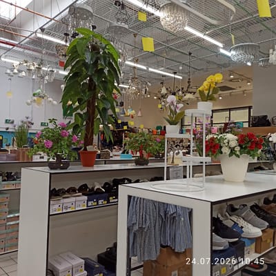 The image depicts the interior of a retail store, likely a department store or a specialized shop, in Modugno, Italy. The ceiling is a suspended grid structure with numerous modern and decorative light fixtures, including chandeliers and track lighting. The store features displays of various merchandise, primarily focusing on footwear and home decor items.

In the foreground, a white shelving unit displays several pairs of shoes, including sneakers and sandals, in their original boxes and some on shelves. To the left, another shelving unit is stacked with boxes of footwear.

The middle ground showcases several decorative plants, including a tall plant with large green leaves and a potted bonsai tree with red chili peppers. A display stand with a white structure holds more plants and floral arrangements, including pink and yellow orchids, and a vase of red and white roses.

The background reveals rows of merchandise, including clothing items hanging on racks and various bags and accessories displayed on shelves and tables. The overall impression is that of a well-lit and organized retail environment, showcasing a variety of products. The timestamp "24.07.2026 10:45" is superimposed on the lower right corner of the image.