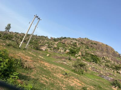 The image depicts a rocky, grassy hillside under a clear blue sky. Two concrete utility poles with power lines stretch across the upper portion of the frame. The hillside is dotted with large rocks and sparse vegetation, including trees and shrubs. The ground appears to be a mix of dry soil and green grass, with a noticeable slope. In the foreground on the left, there are some dense green bushes. On the right side of the hillside, some white markings are visible on the rocks, appearing to be graffiti. The overall scene is that of a natural, somewhat rugged landscape with evidence of human infrastructure.