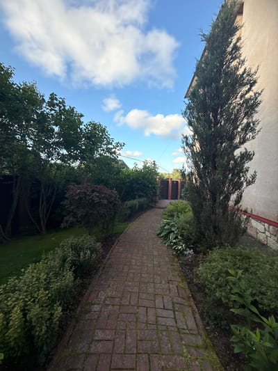The image depicts a brick pathway winding through a garden with various plants and trees. On the right side of the pathway, a tall evergreen tree stands next to a building with a textured light-colored wall and a red trim. The pathway is made of red bricks and is bordered by lush green foliage, including hostas and smaller bushes. To the left of the pathway, there are several trees with dark green leaves, a dark red leafy bush, and a patch of green grass. In the background, a wooden fence with multiple vertical planks can be seen, and a glimpse of a house roof is visible. The sky above is blue with scattered white clouds. The scene appears to be a residential garden in a suburban or rural setting.