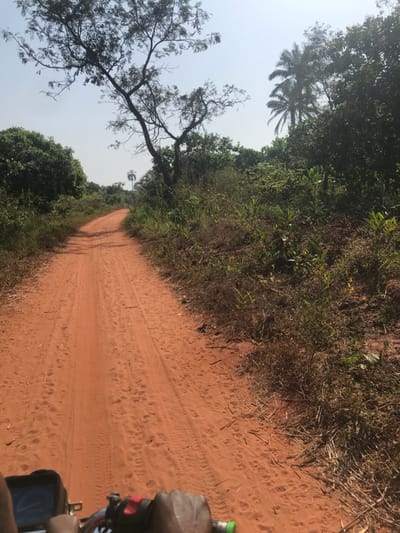 The image depicts a rural dirt road in Ogodo, Nigeria, viewed from a first-person perspective, likely from a moving motorcycle or ATV. The road surface is reddish-brown earth, exhibiting visible tire tracks, indicating recent vehicle passage. Dense, predominantly green foliage flanks both sides of the road, forming a natural corridor. To the left, a large deciduous tree with sparse branches and green leaves stands prominently against a clear, bright sky. Further down the road and in the distance, several tall palm trees are visible, particularly on the right side of the frame. The lower portion of the image shows a person's dark-skinned hands gripping the black handlebars of a vehicle, with a small digital display or instrument cluster partially visible to the left of the left hand, and a red switch or button on the right handlebar. The overall environment suggests a warm, possibly dry, climate.