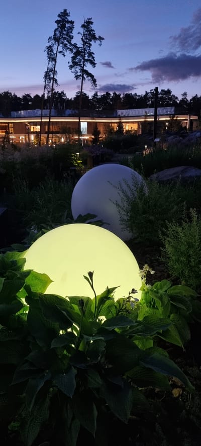 This image depicts an outdoor scene at dusk, likely in Barvikha, Russia. In the foreground, two large, illuminated spheres are nestled amongst lush green foliage. The sphere on the left emits a bright yellow-green light, while the one on the right is a soft, pale blue. Tall, dark green plants with broad leaves surround the spheres. In the midground, a modern building with a long, horizontal structure is visible, illuminated by interior lights that shine through its large windows. The building is set against a backdrop of a dark forest line. The sky above is a deep twilight blue with streaks of pale pink and purple clouds. Several tall, slender pine trees stand silhouetted against the sky in the upper left quadrant of the image. The overall impression is one of a landscaped garden or outdoor seating area adjacent to a contemporary building, illuminated for evening ambiance. No people are present in the image.