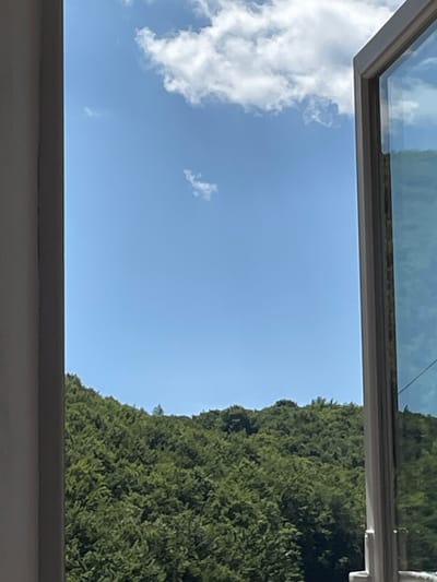 This image shows a view through an open window, looking out at a lush, green, tree-covered hillside under a bright blue sky with a few scattered white clouds. The window frame is visible on the right side of the image, and a portion of a building's exterior wall is visible on the left. The scene appears to be in a natural, possibly mountainous or hilly, area. There are no people or specific urban features visible to indicate the location within the city of Osii, Ukraine. The image is focused on the natural landscape outside the window.