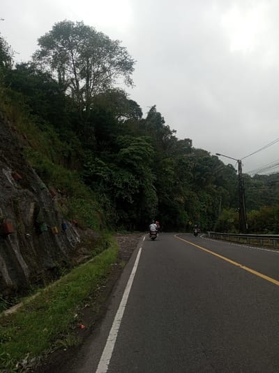The image depicts a winding asphalt road cutting through a lush, green, mountainous landscape under an overcast sky. The scene suggests a journey through a rural or semi-rural area, possibly a mountain pass or a scenic route.
On the left side of the road, a steep embankment rises, characterized by a rocky surface partially covered with various green grasses, bushes, and trees. Scattered along this rock face are several brightly colored, rectangular blocks or painted sections in hues of red, blue, green, and yellow, adding a touch of artificial color to the natural environment. Further up the embankment, dense, dark green foliage and tall trees dominate the hillside, with one particularly large tree standing prominently against the light grey sky.
The road itself is dark grey asphalt, featuring a clear white solid line along its left edge and a double solid yellow line running down its center, indicating no passing. The road curves gently to the right as it recedes into the distance. Several motorbikes are present on the road, traveling away from the viewer. The closest motorbike, positioned on the left side of the lane, has two riders: a driver wearing a light-colored shirt and a helmet, and a passenger behind them. Further ahead, two more motorbikes are visible, following the curve of the road.
On the right side of the road, a metal guardrail separates the road from a dense wall of trees and vegetation that continues the forested hillside. A utility pole equipped with a street lamp stands by the roadside on the right, with power or communication lines extending from it across the scene.
The sky is uniformly overcast and grey, indicating a cloudy day with no direct sunlight. The overall atmosphere is cool and subdued. No specific text is visible in the image.
