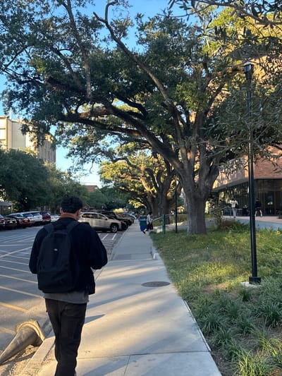 The image displays an outdoor scene on a university campus in New Orleans, United States, strongly suggestive of Tulane University. A male subject, viewed from the rear, walks rightward on a concrete sidewalk. He has short dark hair, wears a dark jacket with a brown collar, a grey t-shirt, dark pants, and a black Dickies backpack. A white face mask is positioned around his neck.
To the subject's left, a paved parking lot contains multiple parked vehicles, predominantly SUVs. To his right, a strip of grass and low-lying shrubs borders the sidewalk, leading to a modern brick building with large glass windows in the mid-ground. Several indistinct figures are visible near the entrance of this brick building.
A prominent feature is a continuous line of large, mature oak trees with dense green canopies, which extends along the sidewalk, casting long shadows indicative of late afternoon or early morning sunlight. In the far left background, a multi-story, light-colored building with numerous windows is visible. A black lamppost stands on the right side of the frame, and a partially visible orange traffic cone lies on its side on the ground in the immediate foreground, next to the sidewalk.