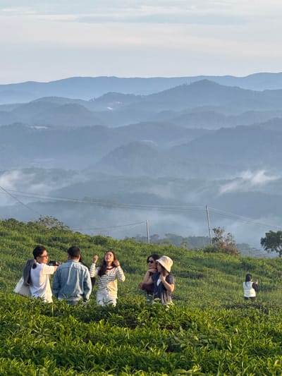 The image depicts a group of individuals on a lush green tea plantation, with a backdrop of rolling, mist-covered mountains, likely in the vicinity of Phát Chi, Vietnam. The foreground is dominated by the dense, verdant tea plants, stretching towards the mid-ground where a cluster of five people are gathered.

On the left of the group, a person wearing glasses and a white t-shirt is facing away from the viewer, holding a camera and seemingly taking a photo. Next to them stands another individual in a denim jacket, also with their back to the camera. A young woman in a striped cardigan and white shorts is in the center, looking upwards with her hands near her face. To her right, two women are conversing, one wearing sunglasses and a dark top, and the other a bucket hat and a striped top.

In the mid-ground to the right, a lone figure, possibly a woman in a white vest and black pants, is standing and holding a phone, appearing to capture a photograph. In the background, layers of mountains are visible, receding into the distance and softened by a layer of mist and haze. Power lines are strung across the mid-ground, supported by poles. The overall atmosphere is serene and scenic, indicative of a natural landscape.