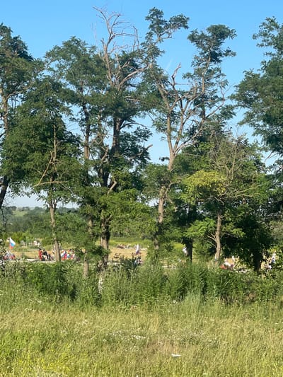 The image captures a scene from what appears to be an outdoor event or festival in Donskoe, Russia, likely during daytime given the bright sunlight and clear blue sky. The foreground is dominated by the dense green foliage of trees, with their branches reaching towards the sky. Beyond the trees, a large open field is visible, dotted with numerous people and various objects.
The people are spread across the field, some clustered together and others more spread out. They are engaged in a variety of activities, though the specific nature of these activities is not entirely clear from the image. There are indications of tents or canopies in some areas, suggesting a market, fair, or gathering of some sort. Several flags are visible, including what appear to be Russian flags (white, blue, and red), adding to the sense of a local event.
In the middle ground, there are more trees and vegetation, interspersed with areas where people and objects are more concentrated. The background shows a rolling landscape with more greenery, suggesting a rural or semi-rural setting. The overall atmosphere appears to be festive and communal, with many people enjoying an outdoor occasion. The weather seems pleasant, with a clear sky and ample sunshine, contributing to the bright and lively ambiance of the event. There is no visible text in the image.