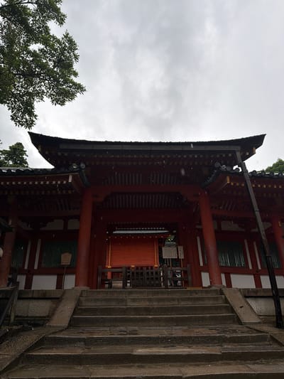 A low-angle, eye-level photograph captures the exterior of a traditional Japanese temple or shrine building, specifically identified as a structure within the Kasuga Taisha Shrine complex in Nara, Japan, on an overcast day with light precipitation.
The central subject is a multi-tiered, vermillion-red wooden structure with a dark, tiled roof featuring distinct upturned eaves. The roof's underside reveals intricate dark wooden beams and brackets, interspersed with small, golden rectangular decorative accents. The main body of the building comprises thick, round vermillion pillars supporting the roof and framing the entrance. Sections of the lower wall are painted white, while windows or screens to the sides of the central entrance are characterized by dark, vertical slatted coverings. A set of weathered, irregular stone steps, wet and glistening from rain, leads directly up to the main entrance. A stone ramp runs parallel to the left side of the steps. The entrance itself appears to be a recessed area, partially obscured by a wooden barrier or railing. An unreadable informational sign on a stand is positioned to the left of the entrance. A dark, slender pole, possibly a lamppost or utility fixture, is visible on the far right, extending from the ground to beyond the roofline.
The sky is a uniform, light grey, indicative of heavy cloud cover. Rain or fine precipitation is discernible as small white specks against the dark roof and red building. A large section of a deciduous tree with dense green foliage occupies the upper left quadrant of the frame, extending over the building's roof. Another tree is partially visible behind the roof on the far right. The overall scene suggests a damp, quiet atmosphere. No individuals are clearly visible or identifiable.