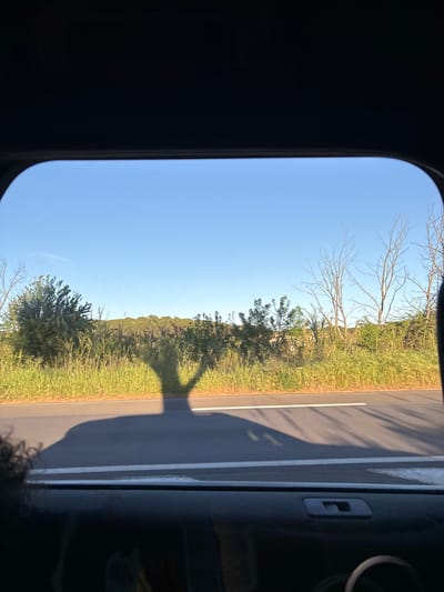 The photograph appears to have been taken from inside a vehicle looking through a window. The exterior view includes a clear blue sky above a line of trees and vegetation. The road is partially visible with lane markings. The location is not identifiable as Fréjus, France from the current scene.