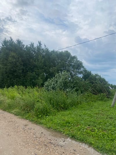 The image depicts a rural scene with a dirt road on the left side and lush green vegetation on the right. A line of trees forms the background, with a large tree that appears to have fallen or been significantly damaged in the center-right of the frame, its branches spread across the ground. The sky is overcast with dramatic clouds. In the far right of the image, a simple utility pole is visible. There are no people or animals present in the photograph. The scene is likely located in a wooded or natural area outside of a densely populated urban center. The mention of Заволжский, Russia suggests a specific geographic context for this natural landscape.