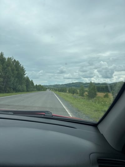 The image, taken from inside a vehicle, captures a view of a paved road stretching into the distance under a cloudy sky. On the left side of the road, a dense line of green coniferous trees borders the asphalt. The right side of the road is flanked by a grassy verge dotted with wildflowers, beyond which rolling green hills are visible, some covered with trees. The sky is overcast with diffused light. A red car interior is visible in the foreground, including the dashboard and part of the windshield. The scene appears to be a rural highway or country road. The general location is the village of Kuzhanovo, Russia, though specific landmarks or identifying features within Kuzhanovo are not discernible in the image.