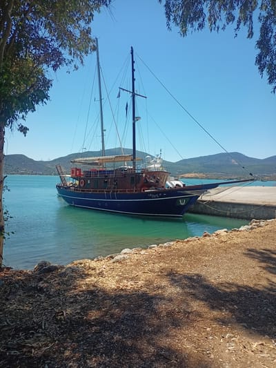 A wide-angle, eye-level shot captures a traditional wooden sailboat docked at a pier under a clear blue sky in the Municipal Unit of Anthidon, Greece. The boat, painted a deep navy blue with brown accents, features multiple masts and rigging, indicating its sail-powered nature. A life preserver and a life ring are visible on deck, along with some covered seating areas. The boat is tied to a concrete pier. The water is a vibrant turquoise color, transitioning to a deeper blue further out. The shoreline in the foreground is covered with dry leaves, twigs, and small rocks, with shadows cast by trees on the left and overhead. In the background, rolling, green hills rise against the horizon, with a few distant structures or power lines visible. The scene evokes a peaceful, sunny day by the sea.