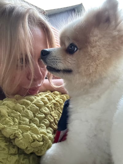 The image shows a close-up view of a person lying down, with a small, fluffy dog leaning over them. The person has blonde hair and their face is partially obscured by the dog and their hair. They appear to be looking up at the dog. The dog has light brown and white fur, with dark eyes and a black nose. The dog's fur is very soft and fluffy. The person is wearing a dark blue garment with red and white stripes visible underneath. They are lying on a textured, pale green blanket or throw. The background is out of focus, but suggests an indoor setting with some blinds visible on the left side. The overall mood seems intimate and affectionate, with the dog showing curiosity or affection towards the person. The lighting suggests it could be daytime.