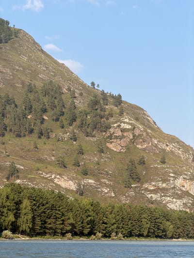 A steep, grassy mountain slope is covered with scattered evergreen trees and rocky outcrops. At the base of the mountain, a dense line of coniferous trees forms a forest that meets a body of blue water. The sky above is a clear, light blue with a few wispy white clouds. The scene depicts a natural landscape, likely in a rural or mountainous region.