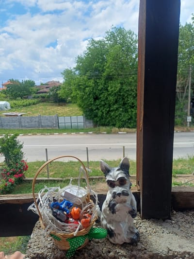 The image, oriented correctly, presents an outdoor scene likely from a porch or balcony in Bregovo, Bulgaria. In the foreground, a dark, weathered wooden beam spans horizontally across the top section. Below and to the right of the beam, a black and white ceramic cat figurine with detailed eyes sits on a stone or gravel surface. Adjacent to the cat is a small, woven basket with a wooden handle, adorned with a green polka-dot ribbon. The basket is filled with tangled fairy lights and various small toy figures, including a blue vehicle (resembling Chase from Paw Patrol), an orange toy, and other small, colorful plastic items.
Beyond the foreground elements, a paved road with a white central line stretches into the midground, flanked by grassy verges. To the left of the road, there's a green field with a fence and a small structure that looks like a greenhouse or cold frame. Further back, residential buildings with tiled roofs are visible amidst lush green trees and foliage. To the right of the road, a vibrant rose bush with red blossoms adds a splash of color.
The background features a bright blue sky with scattered white clouds, indicating a clear, sunny daytime setting. No specific human activity or event is taking place; the scene is static, featuring objects and a landscape. There is no discernible text visible in the image. The overall impression is a tranquil, semi-rural environment.