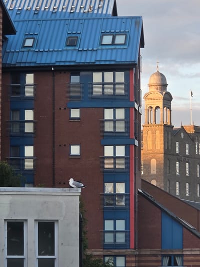 The image shows a view of buildings in Dundee, Scotland. In the foreground, a modern brick building with blue and red accents features multiple levels of windows and balconies. A seagull is perched on the edge of a lower, lighter-colored building in the left foreground. In the background, a historic stone building with a distinctive bell tower is visible, bathed in the warm light of what appears to be sunset. The sky above is partly cloudy. The scene is urban, with a mix of architectural styles.