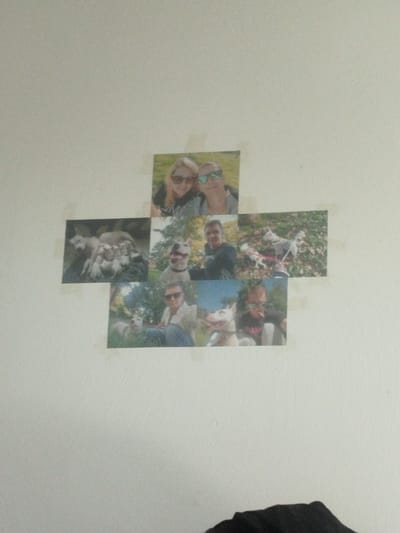 The image displays a collage of photographs affixed to a textured white wall, likely in a home in Wallerfangen, Germany. The arrangement of the photos forms a cross shape.
The central horizontal element consists of two photos. The left photo shows a mother dog with several puppies. The right photo depicts a person holding a dog.
The vertical element also has two photos. The top photo shows two women wearing sunglasses, smiling. The bottom photo shows a person with sunglasses and a cigarette, with a dog next to them.
Additional photos are placed to the left and right of the central arrangement. To the left of the vertical element is a photo of a person and a dog. To the right of the vertical element, and slightly above the bottom photo, is a photo of two dogs on leashes.
The overall impression is of a personal collection of cherished memories, predominantly featuring people and their dogs, set against an indoor backdrop. The lighting is neutral, suggesting it could be daytime, but there are no specific cues about the weather. The images appear to be printed on standard photo paper and attached with tape.