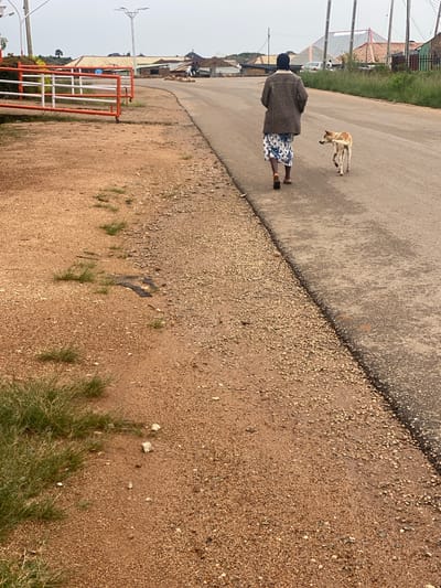 In DU, Nigeria, on an overcast day, a person walks down a paved road alongside a sandy, gravelly embankment. The individual, viewed from behind, wears a dark beanie, a patterned brown jacket, and a blue and white floral skirt, with sandals on their feet. A light brown dog with dark ears walks a few paces behind them. To the left of the road, a red and white metal barrier is erected on the embankment. In the background, buildings with corrugated metal roofs and fences are visible, along with a white car and a motorcycle. The sky is a pale grey, indicating diffused light.
