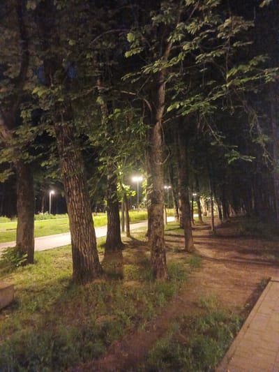 A nighttime photograph captures a tree-lined path in an urban park in Radkevshchina, Russia. Several large trees with textured bark line the left side of a paved pathway, which curves into the distance. Streetlights are visible intermittently along the pathway, casting a warm glow on the scene and illuminating the green grass and dirt ground. The foliage of the trees is dense and dark, with some leaves catching the light. The overall atmosphere is serene and quiet.