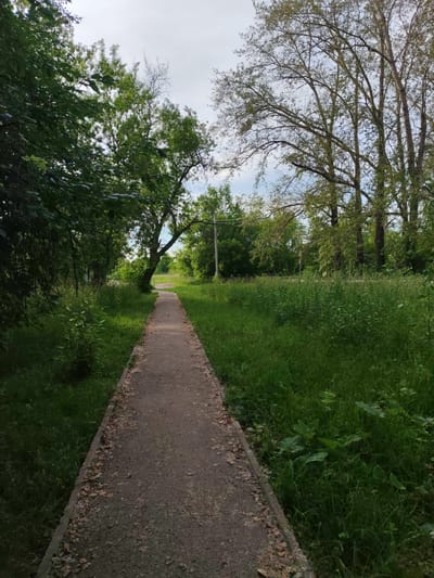 A narrow, concrete pathway runs through a green, overgrown area, likely a park or a less maintained section of the city of Sokol, Russia. The pathway is flanked by thick, tall grass and lush vegetation on both sides, with fallen leaves scattered along its edges. Mature trees with dense green foliage and bare branches are visible, creating a canopy overhead in some areas. The sky is partially cloudy. The scene depicts a quiet, natural setting within an urban environment. There are no people or animals visible in the image.