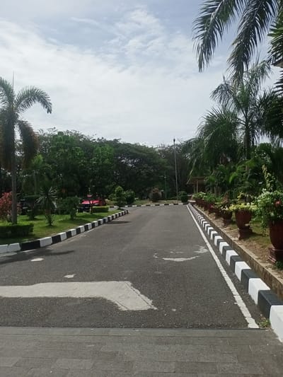 The image depicts an empty asphalt road curving through a park-like setting. Palm trees and other lush green foliage line the sides of the road, with several potted plants filled with flowers visible on the right. The road is bordered by alternating black and white curbs. In the background, a cluster of trees forms a dense green backdrop. A red vehicle is partially visible parked among the trees on the left. The sky above is cloudy with patches of blue. The scene appears to be in a tranquil, well-maintained outdoor environment, likely a public space or botanical garden, given the presence of decorative plants and neatly manicured greenery. There are no people or animals present in the image. The location is identified as Kampungblang, Indonesia.