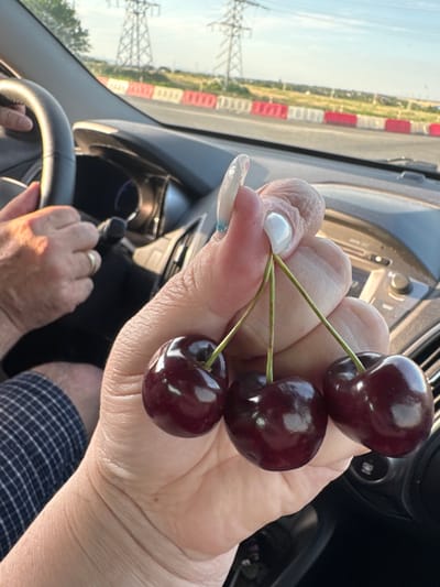 In Daraganovka, Russia, a hand is holding three dark red cherries with green stems while inside a car. The driver's hand, wearing a wedding ring, is visible on the steering wheel in the background. The car's dashboard and a radio are also visible. Outside the car, power lines and a bright sky can be seen. The road is bordered by red and white traffic barriers.